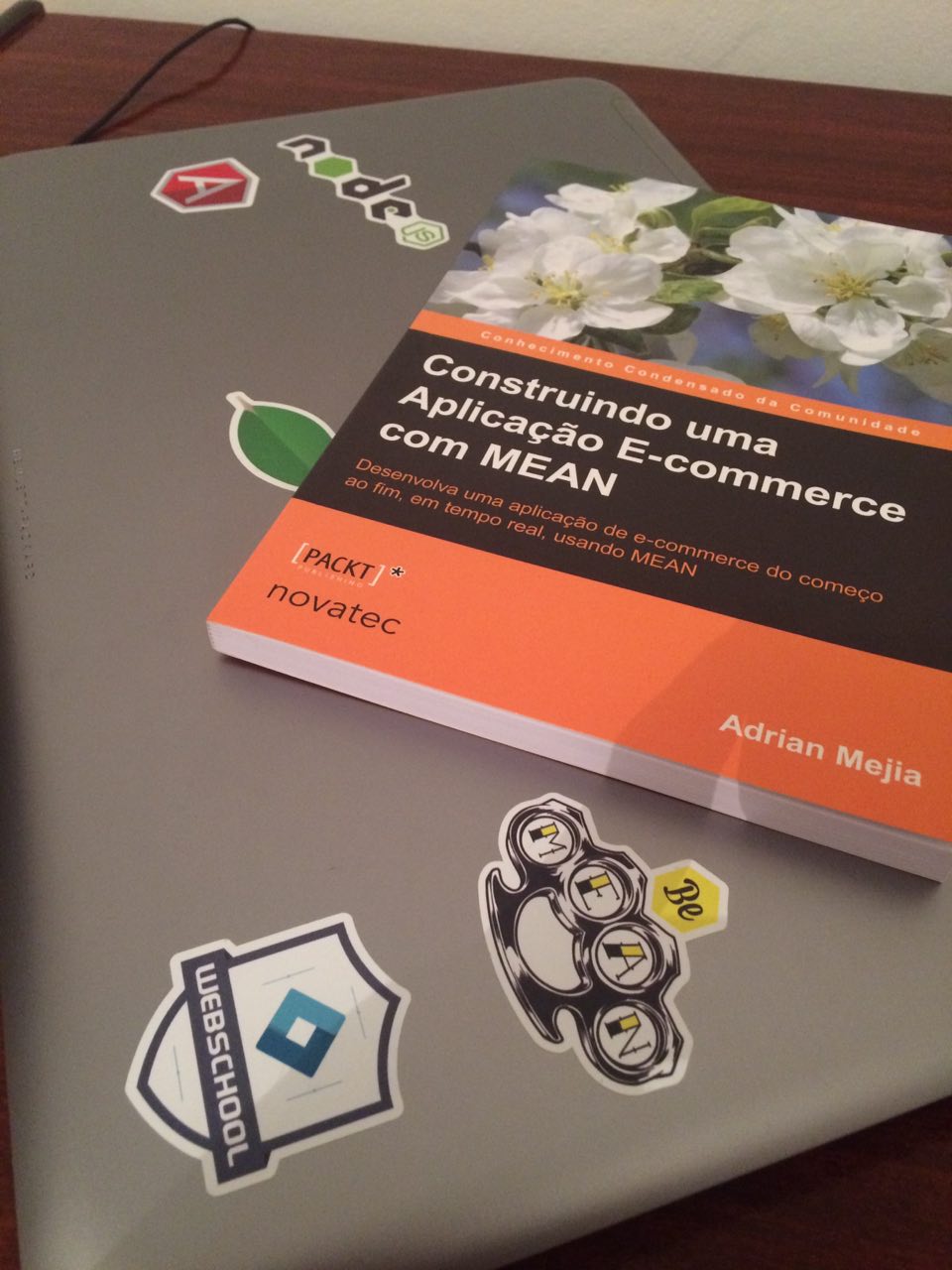 Livro Construindo uma Aplicação E-commerce com MEAN